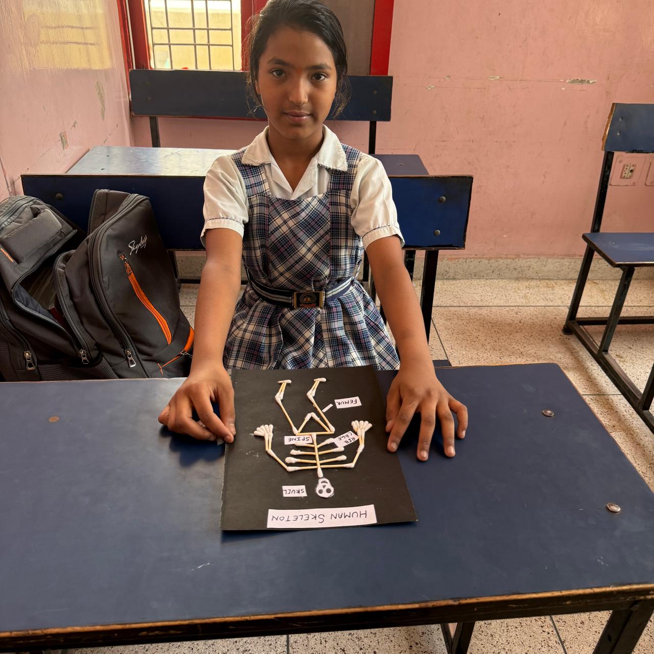 Human Skeleton Craft